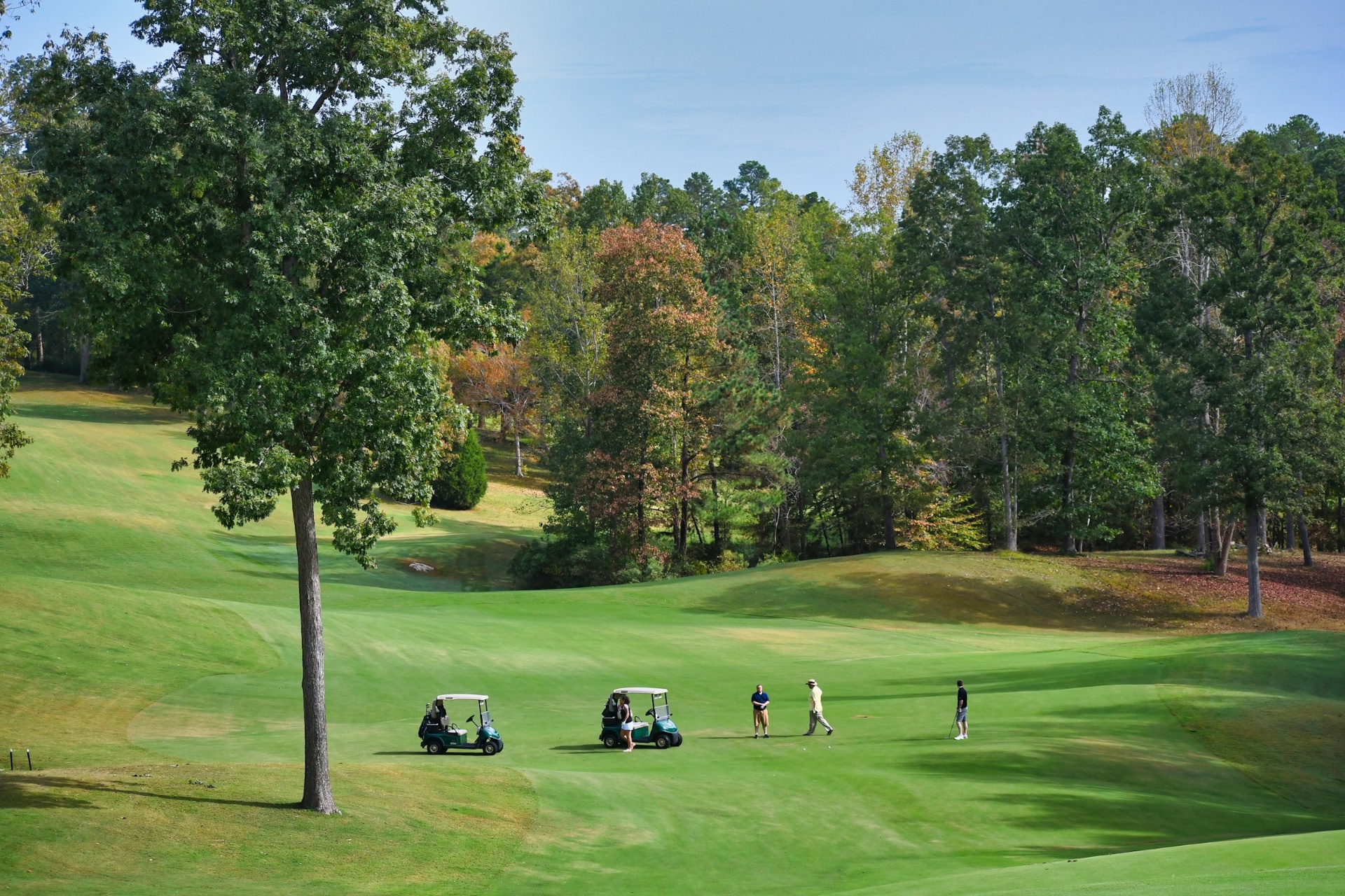 Golf course fairway